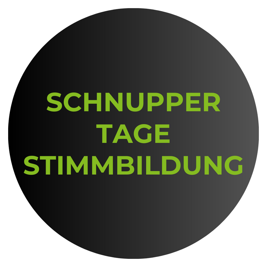 Link zum Kurs Schnuppertage Stimmbildung